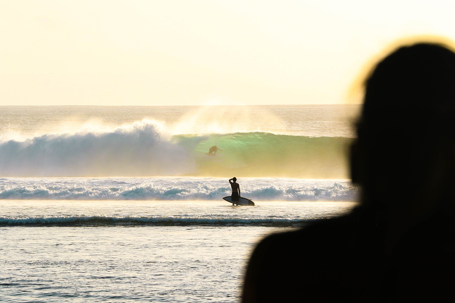 Surf's Up! Website